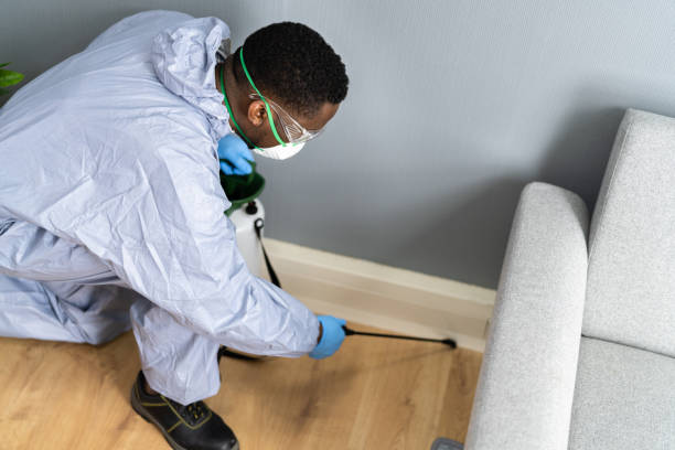 Real Estate Pest Inspections in Baidland, PA